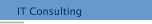 IT Consulting